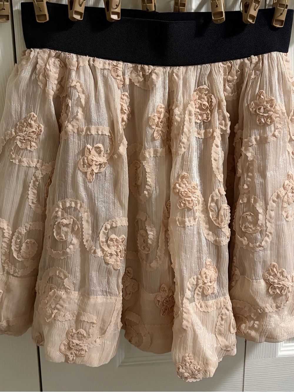 Forever 21 Blush Pink Floral Appliqué Skater Skirt